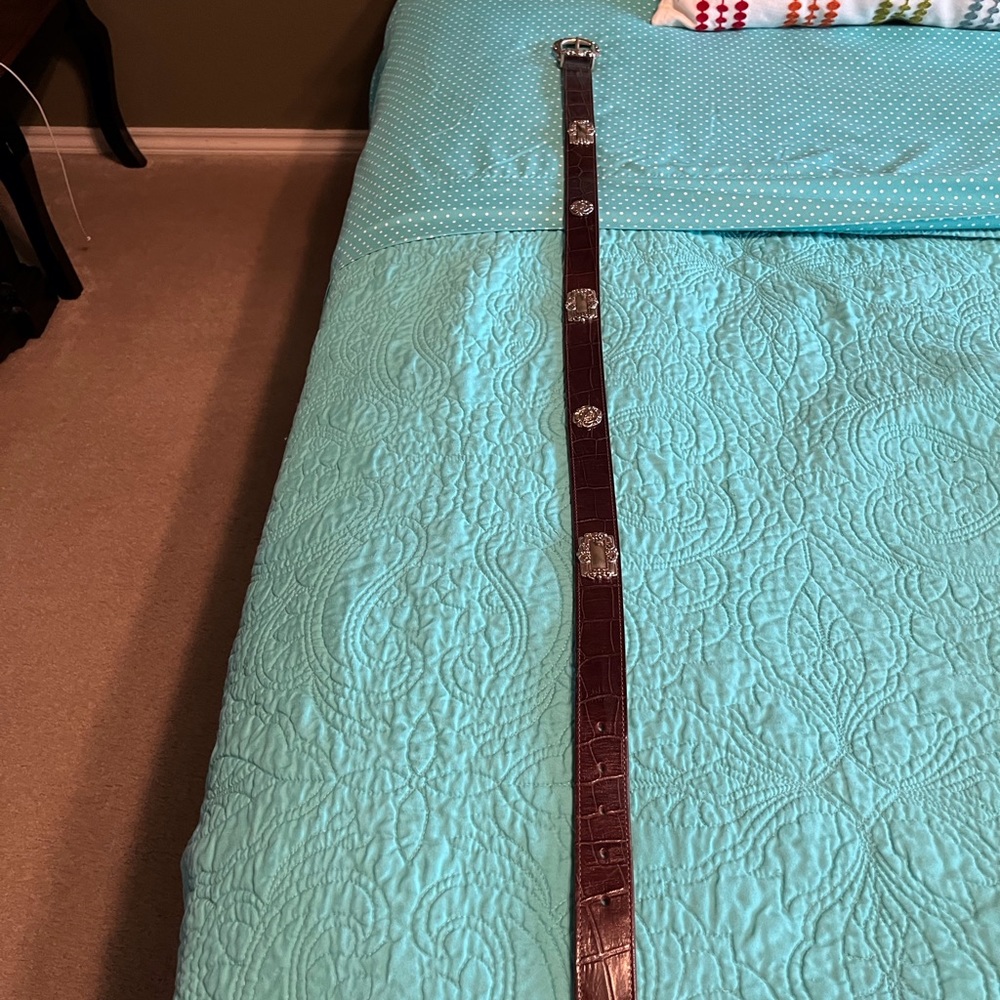 Brown belt